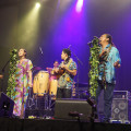 The Unforgettable Thrill of Live Kalapana Music: Benefits of Attending a Performance